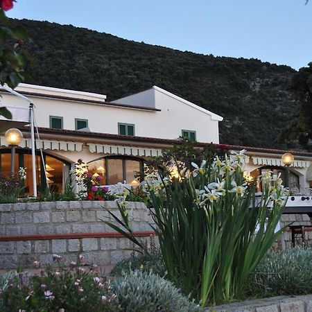 Hotel Belmare 马尔恰纳 外观 照片